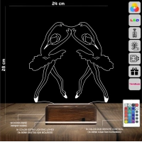Bale Balerin 3D Lamba - Masa Gece Lambası
