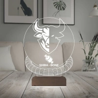Crypto Shiba Bone Coin Kripto Finans 3D Lamba - Masa Gece Lambası