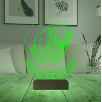 Bizon Tasarım 3D Lamba - Masa Gece Lambası