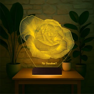 Gül Sevgiliye Hediye Kişiye Özel 3D Lamba - Masa Gece Lambası Gül Sevgiliye Hediye Kişiye Özel 3D Lamba - Masa Gece Lambası