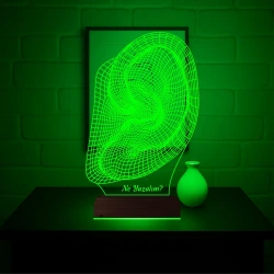 Kulak İşitme Tasarım Kişiye Özel 3D Lamba - Masa Gece Lambası Kulak İşitme Tasarım Kişiye Özel 3D Lamba - Masa Gece Lambası